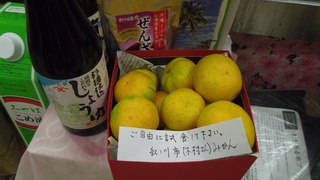IMGP1652-1.jpg