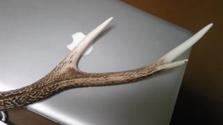 SH3503810002.jpg