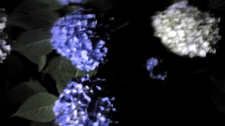 SH3504140001.jpg