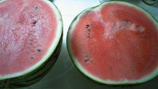 SH3504840001.jpg