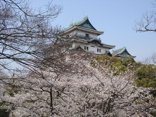 wakasironaname