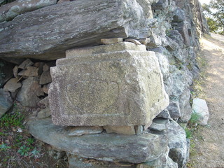 wakatenyo
