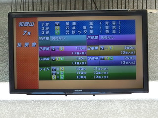 �Έ�ɔs�������Ȕz����