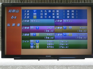 ��v�ۑI��������܂��܂��̍D�z��