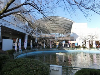 京王閣競輪場内の池