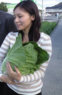 111117白菜.jpg