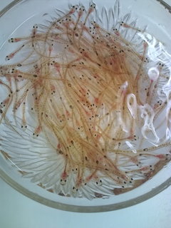 201103081056161.jpg