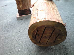 CA390297.jpg