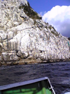Image483.jpg