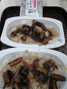 unagi0604.JPG